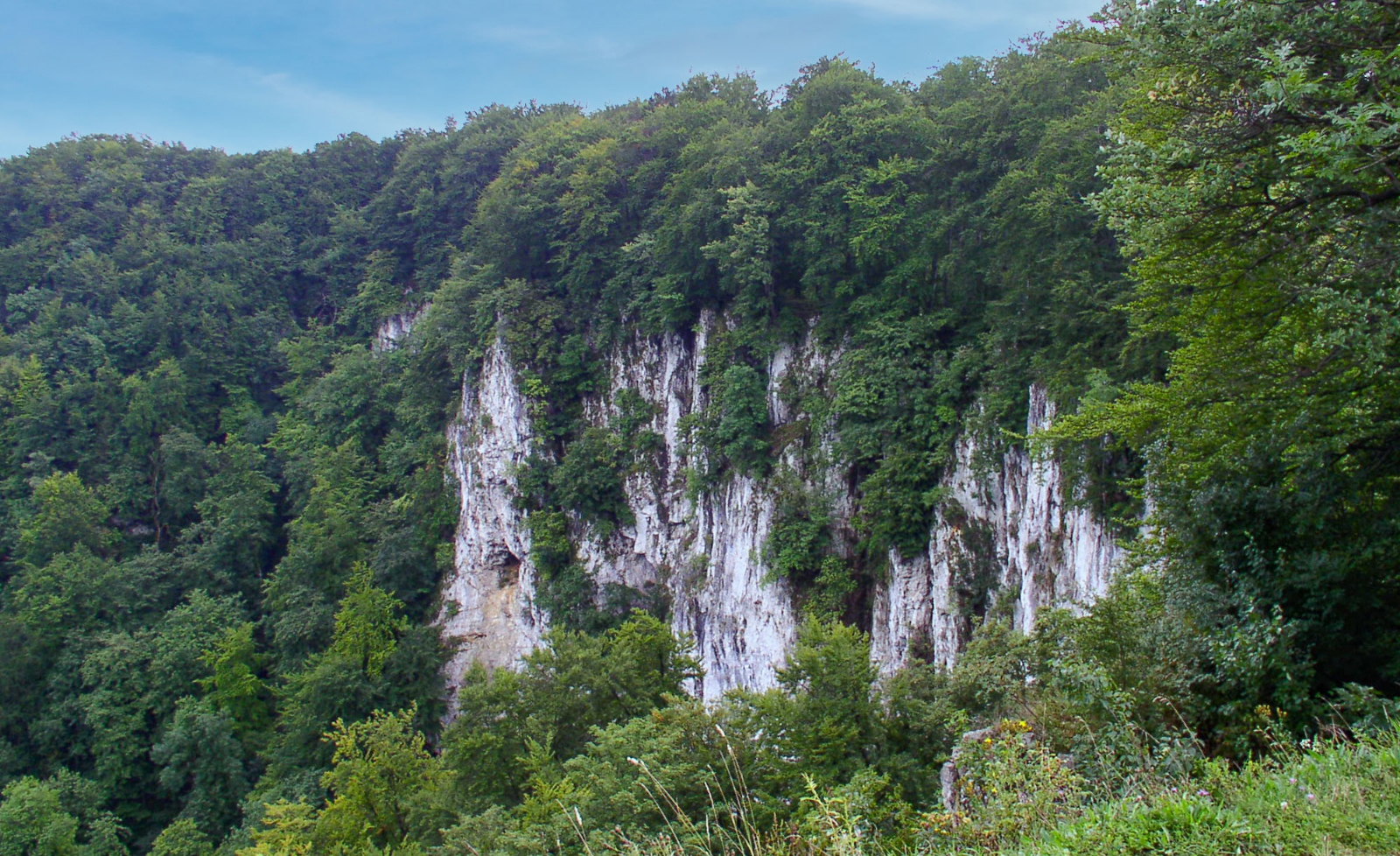 Aussicht auf den Rutschenfelsen.