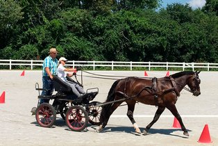 Anweisung & Begleitung des Fahrschülers beim Parcours fahren