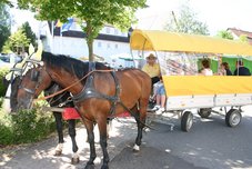 Kutschfahrten, Dorffest, Planwagen