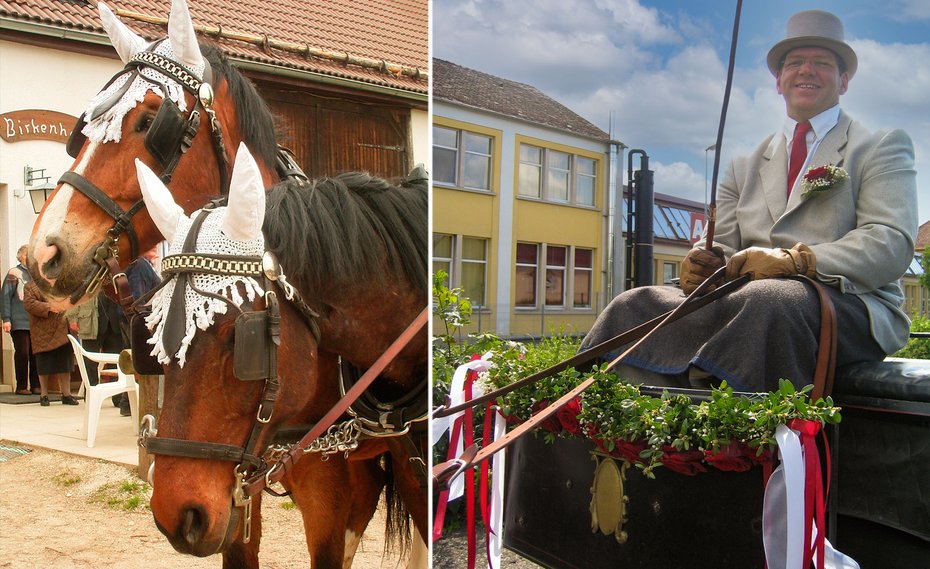 Werner Schmid und seine Hochzeitspferde