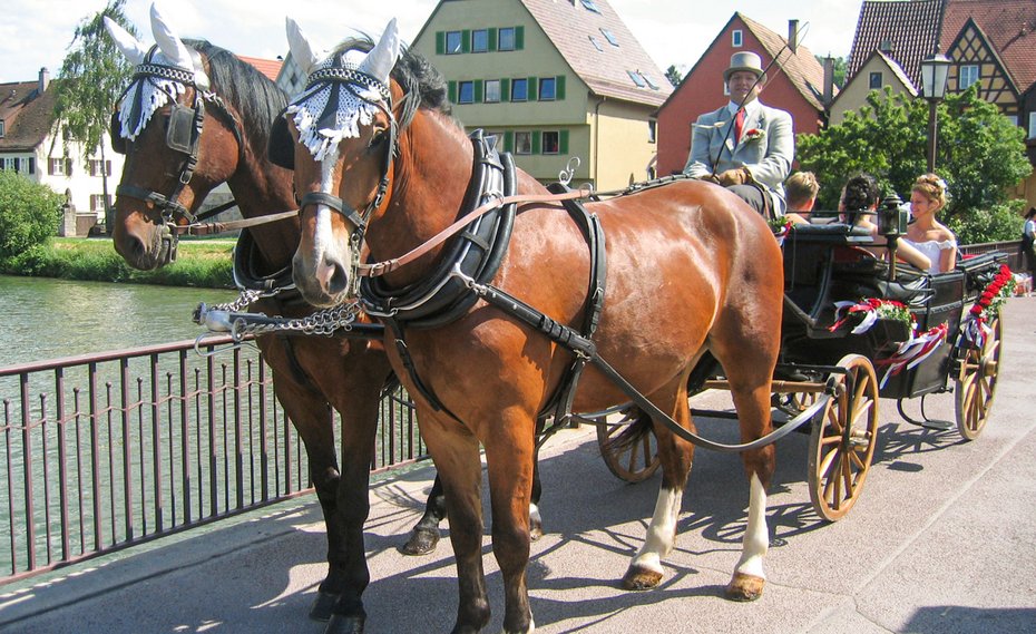 Hochzeitskutschfahrt