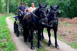 Die Schwäbische Alb zeigt sich von ihrer schönsten Seite.