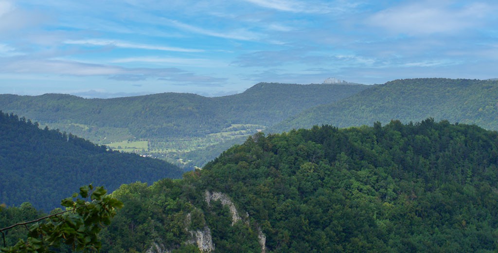 Panorama Hohenneufen